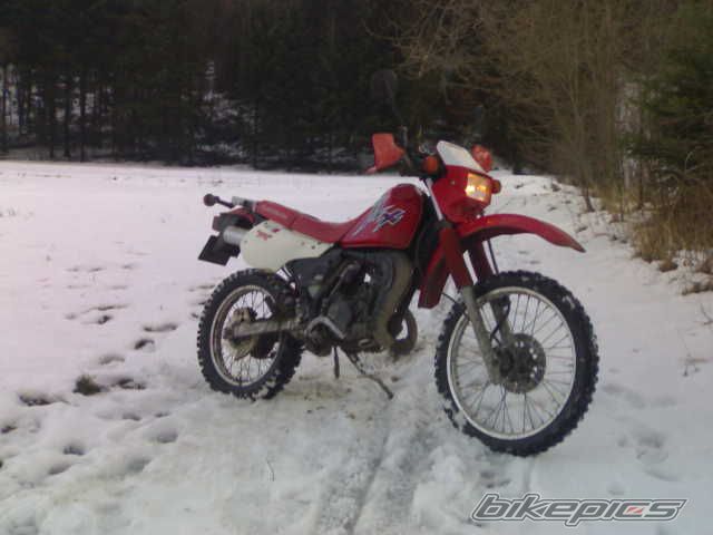 Photo 1581075