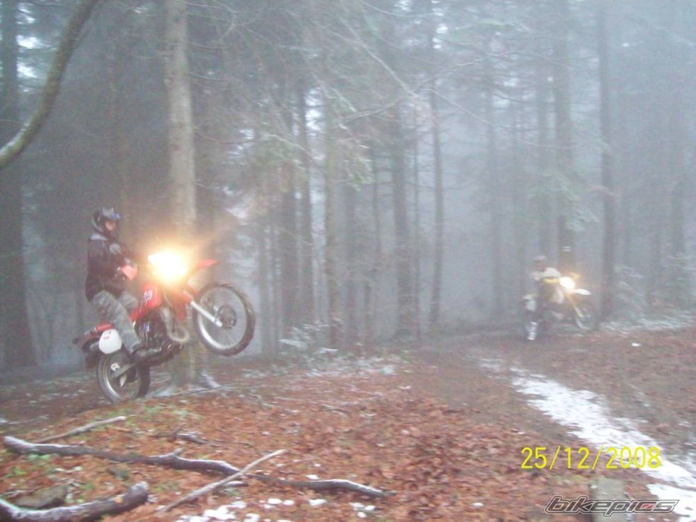 Photo 1581158