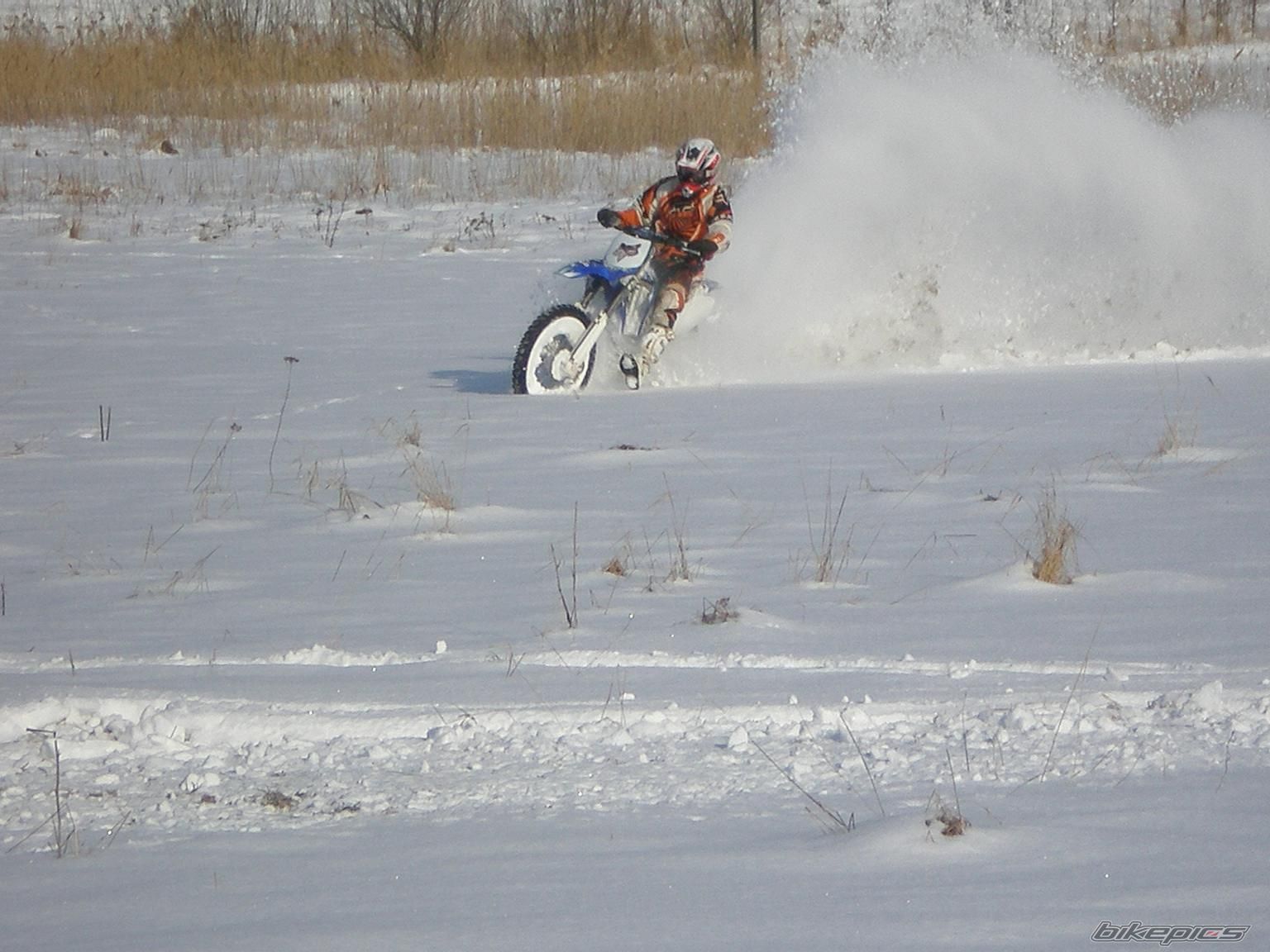 Photo 1581168