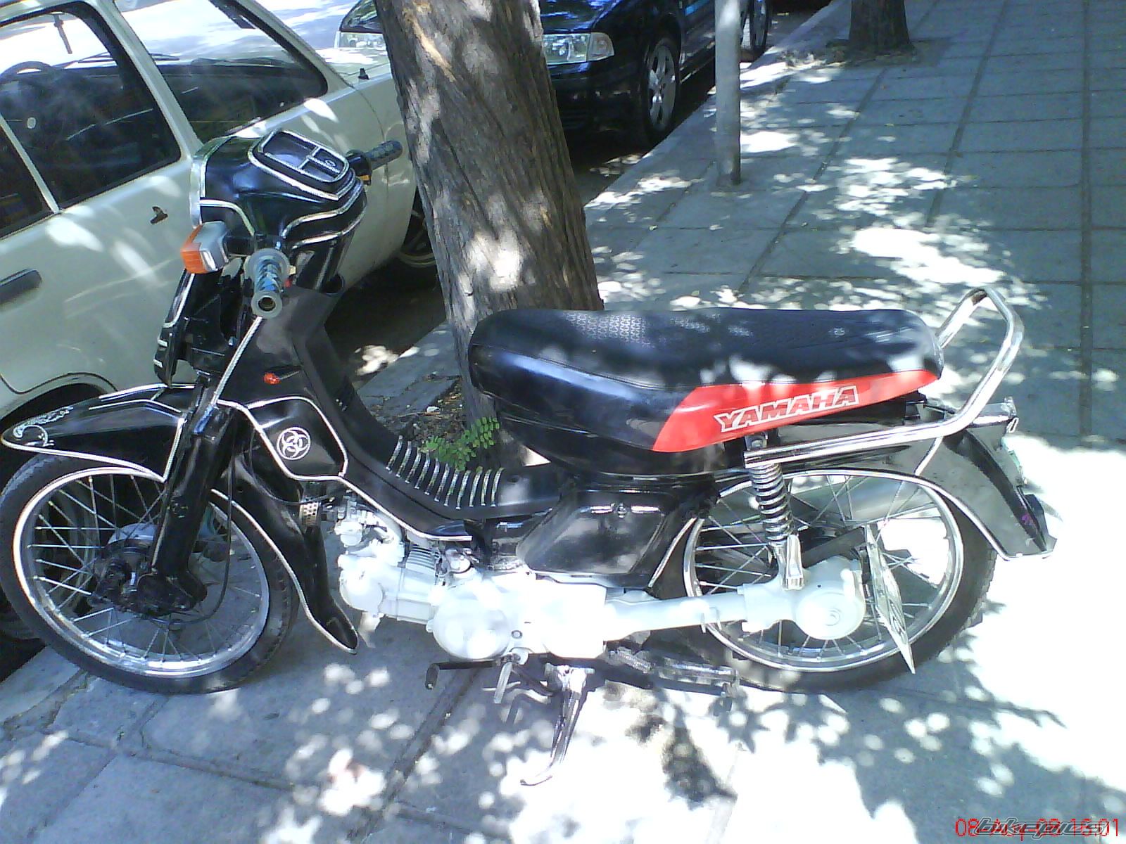 Photo 1581179