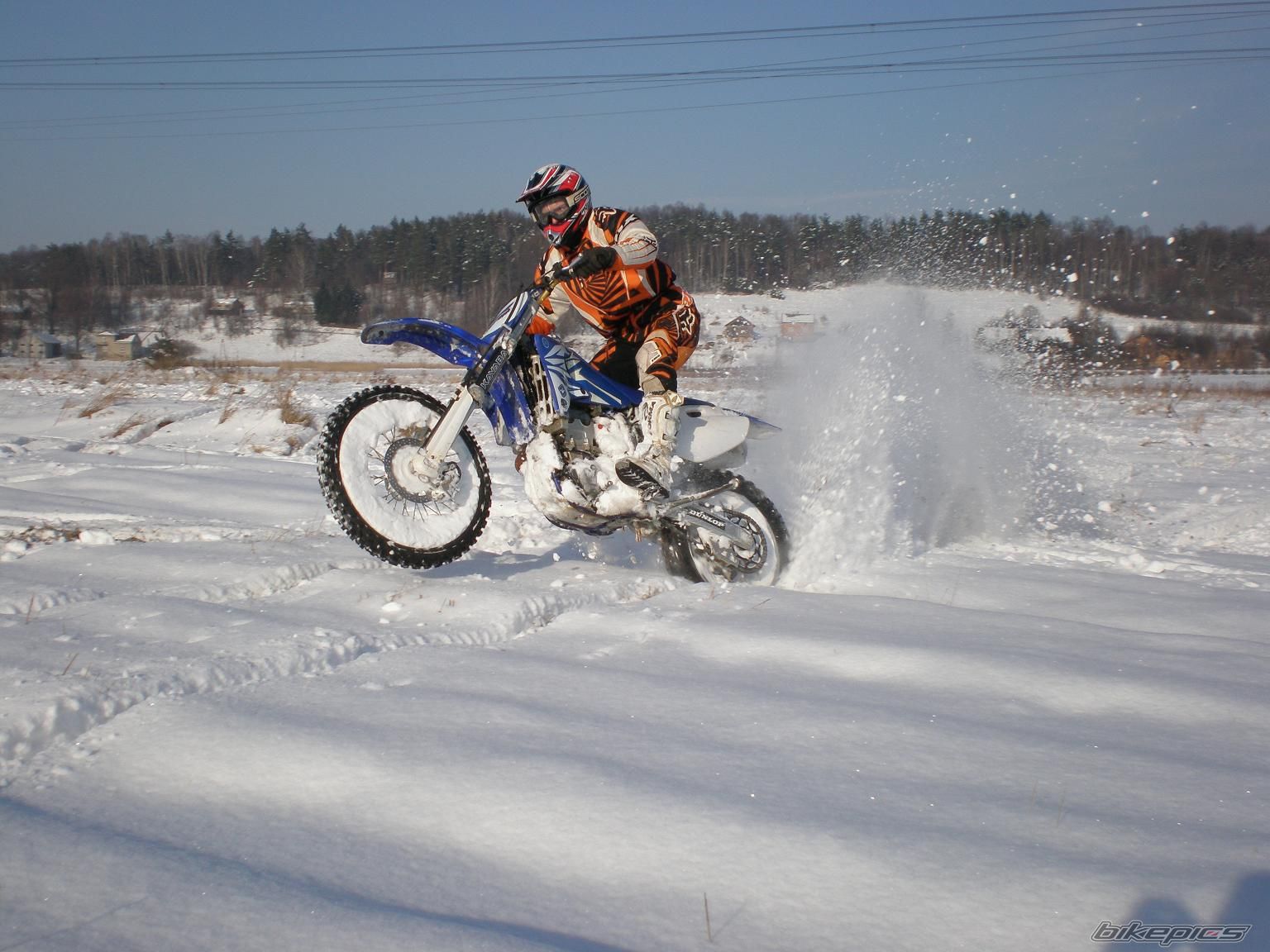 Photo 1581181