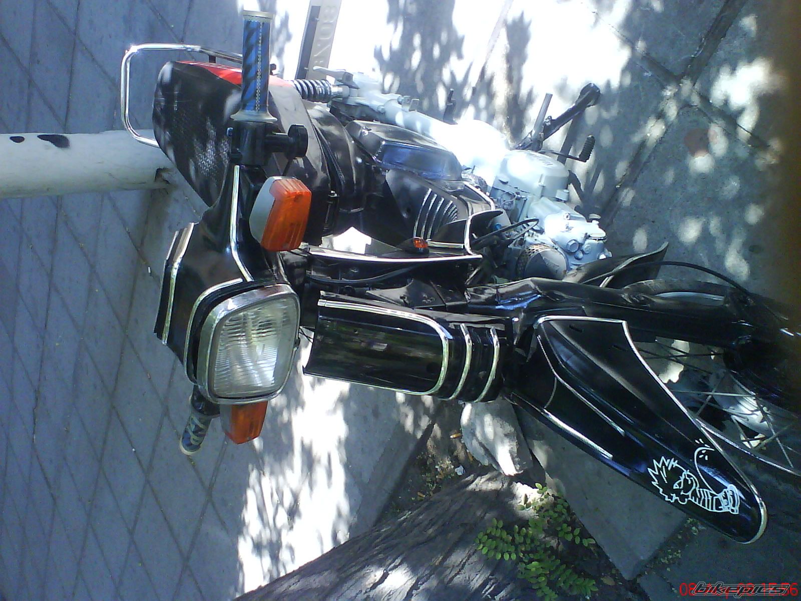 Photo 1581182