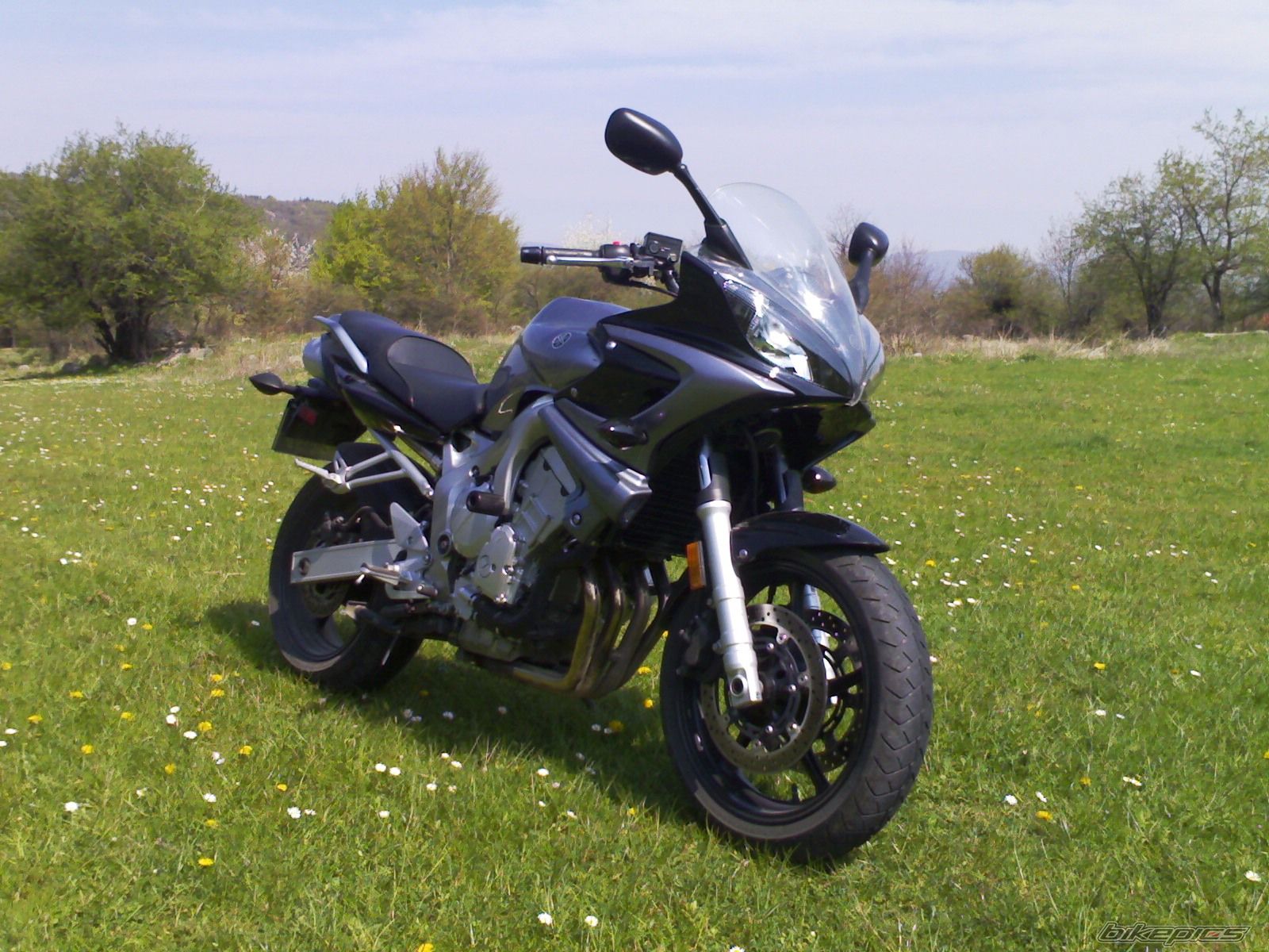 Photo 1581201