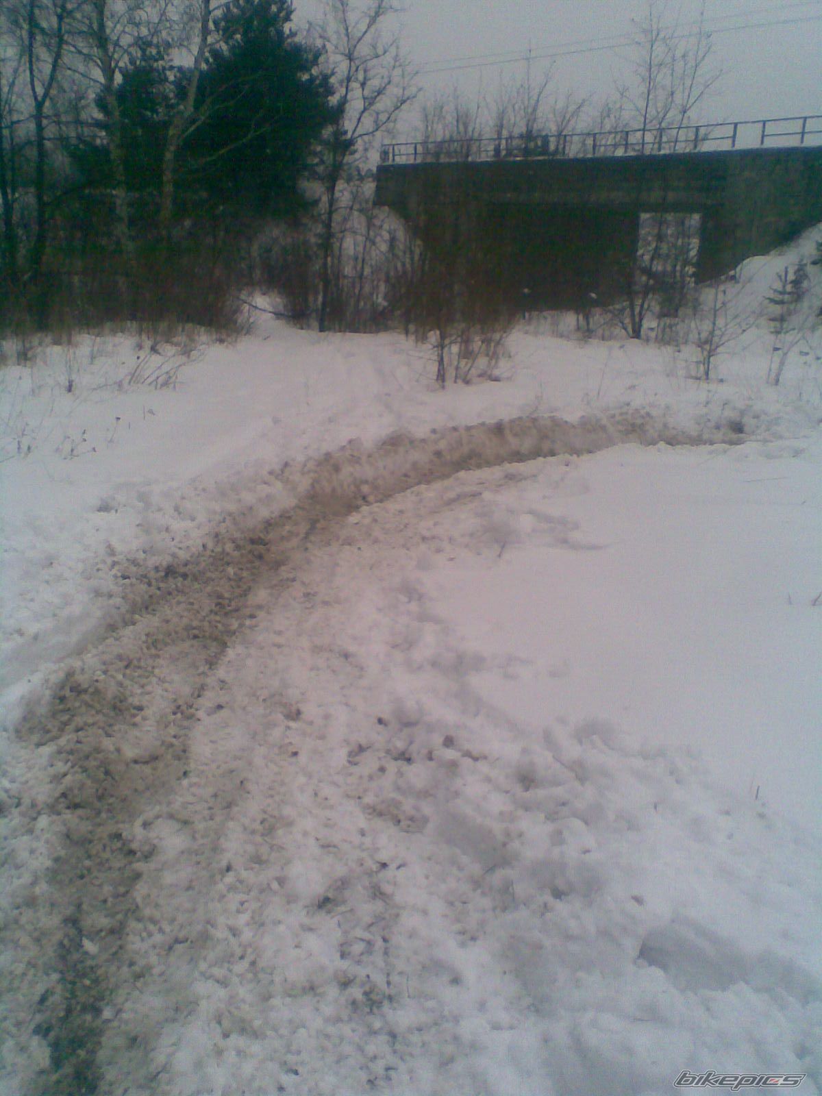 Bike Photo 1581322