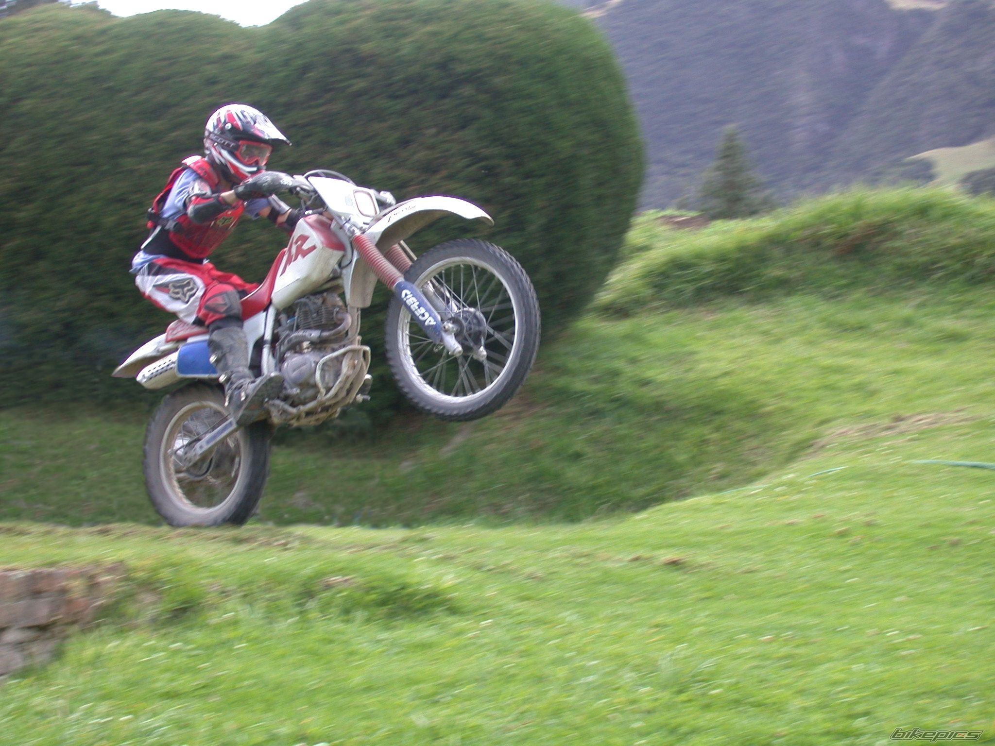 Photo 1581510