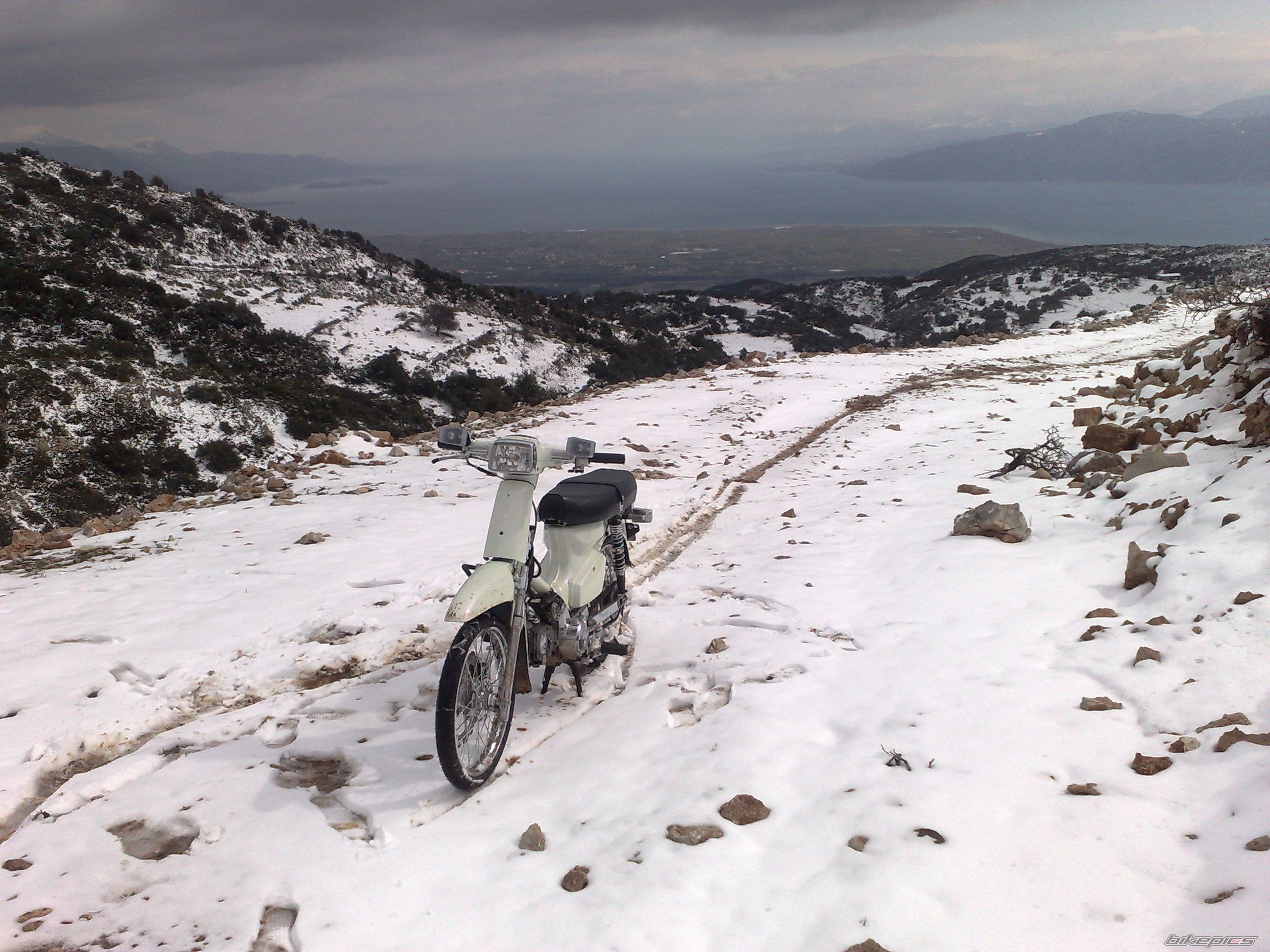 Photo 1581824