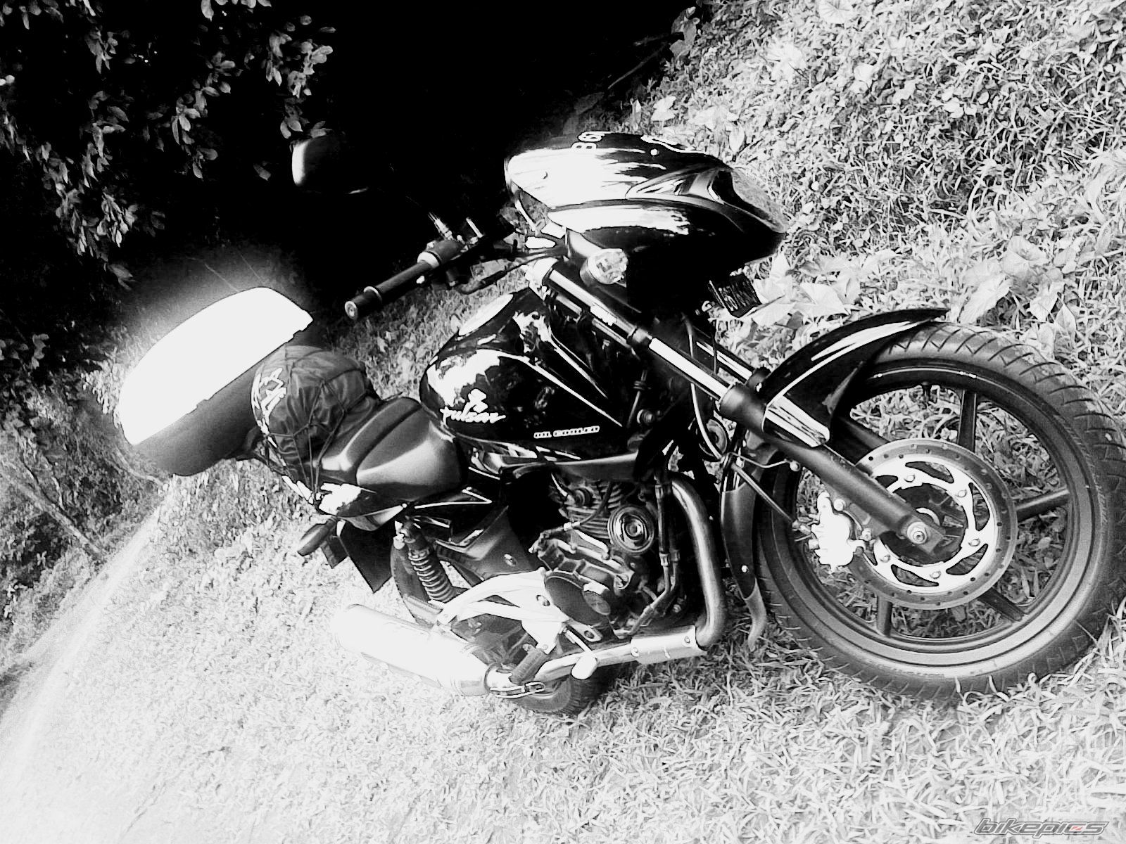 Photo 1581851