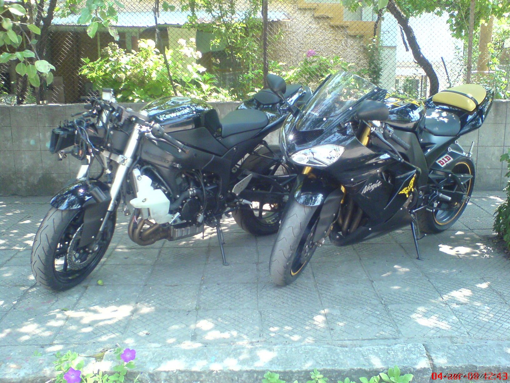Photo 1581854
