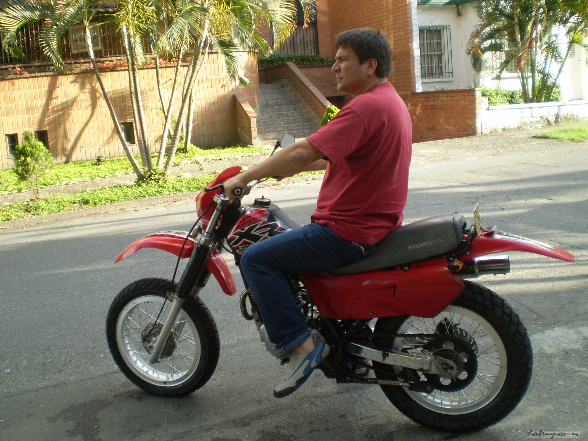 Photo 1581982