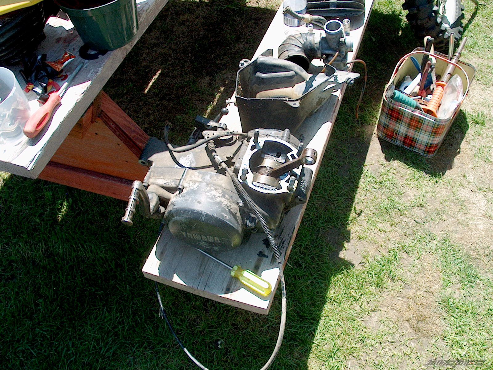 Photo 1582101