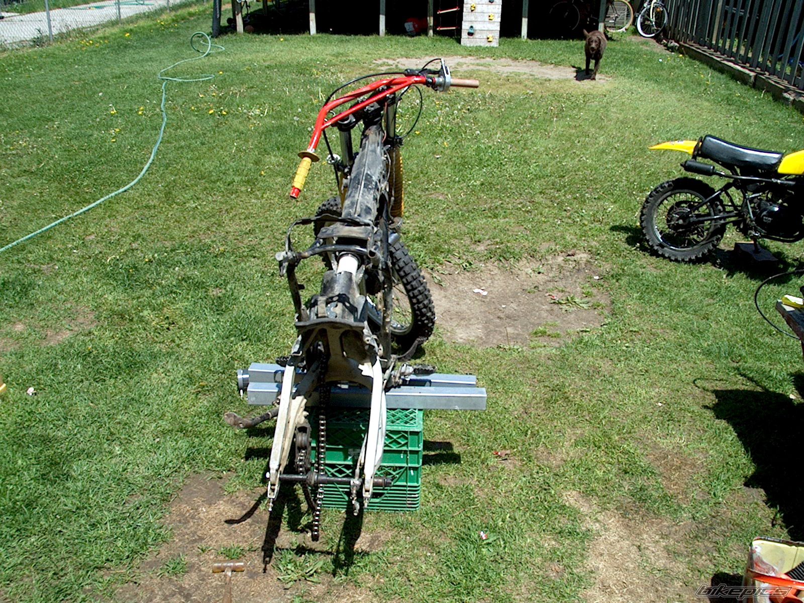 Photo 1582105