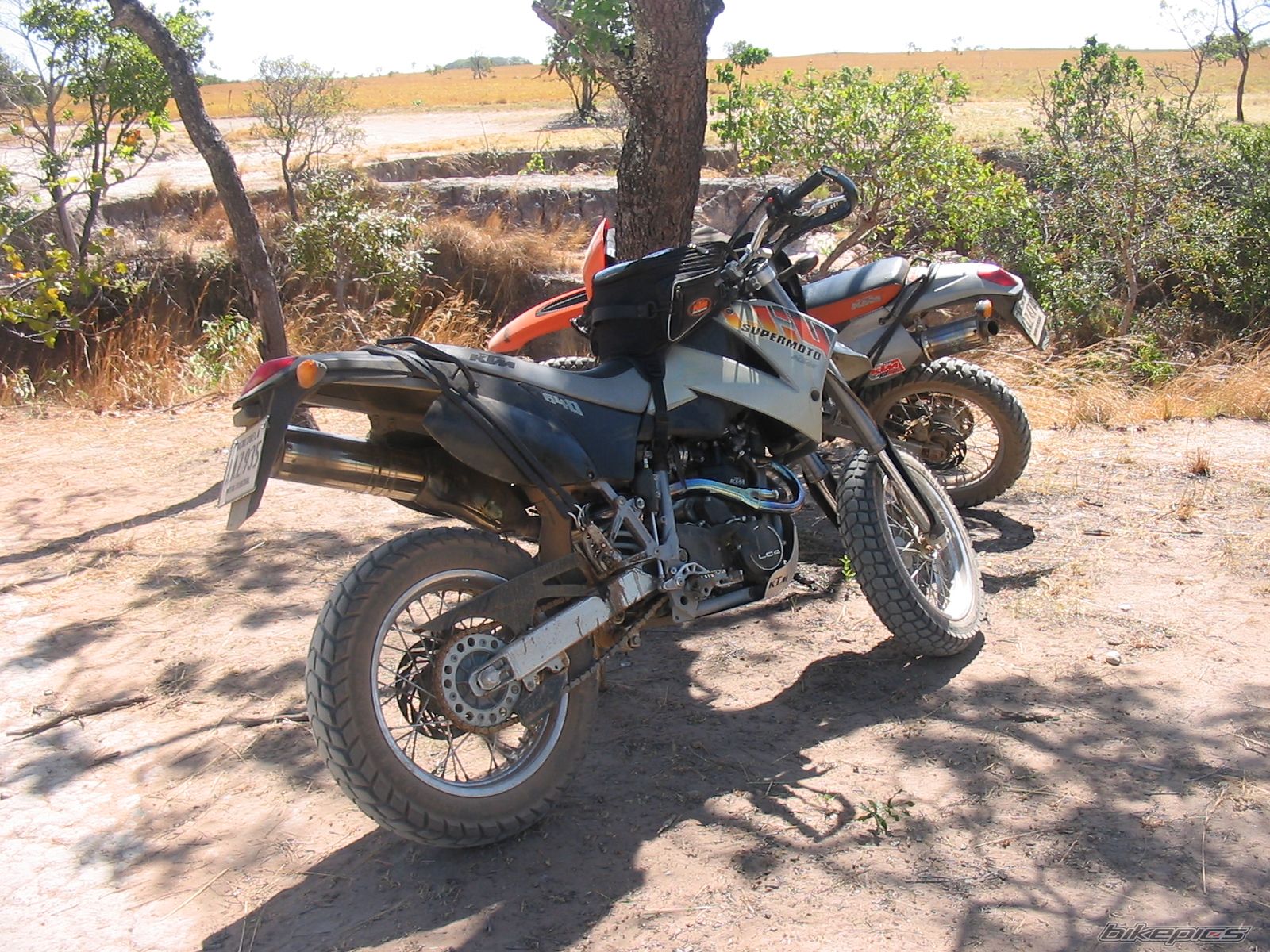 Photo 1582265