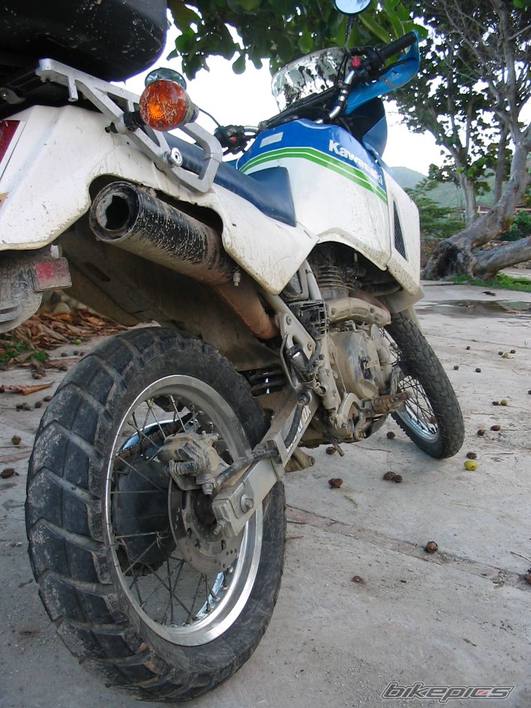Photo 1582267