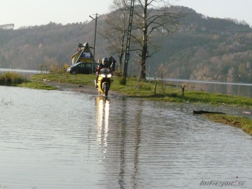 Photo 1582369