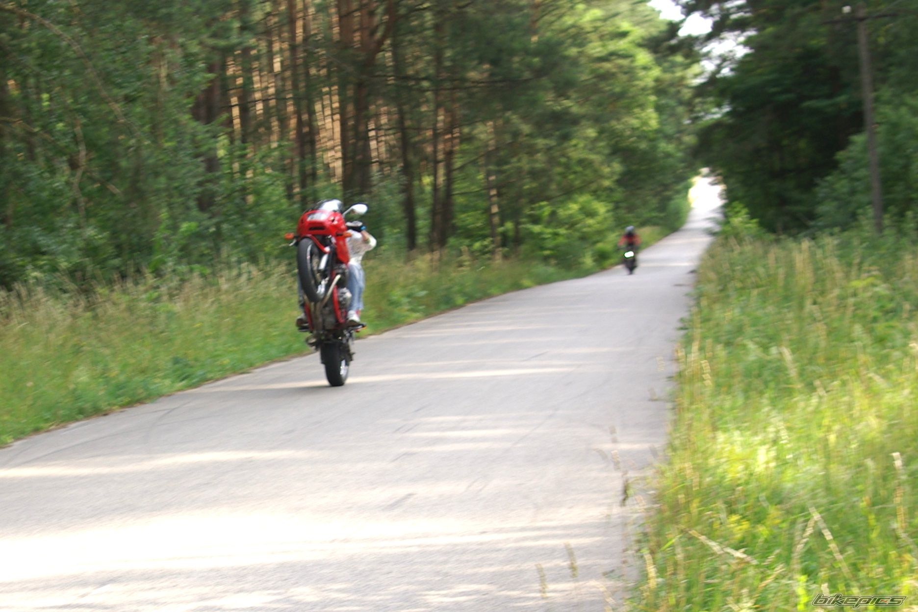 Photo 1582370