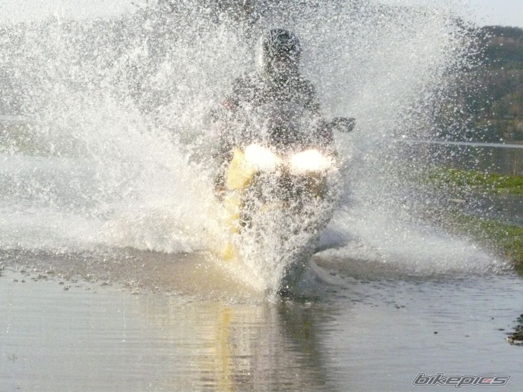 Photo 1582390