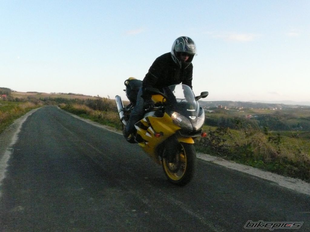 Photo 1582441
