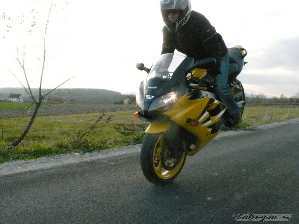 Photo 1582444