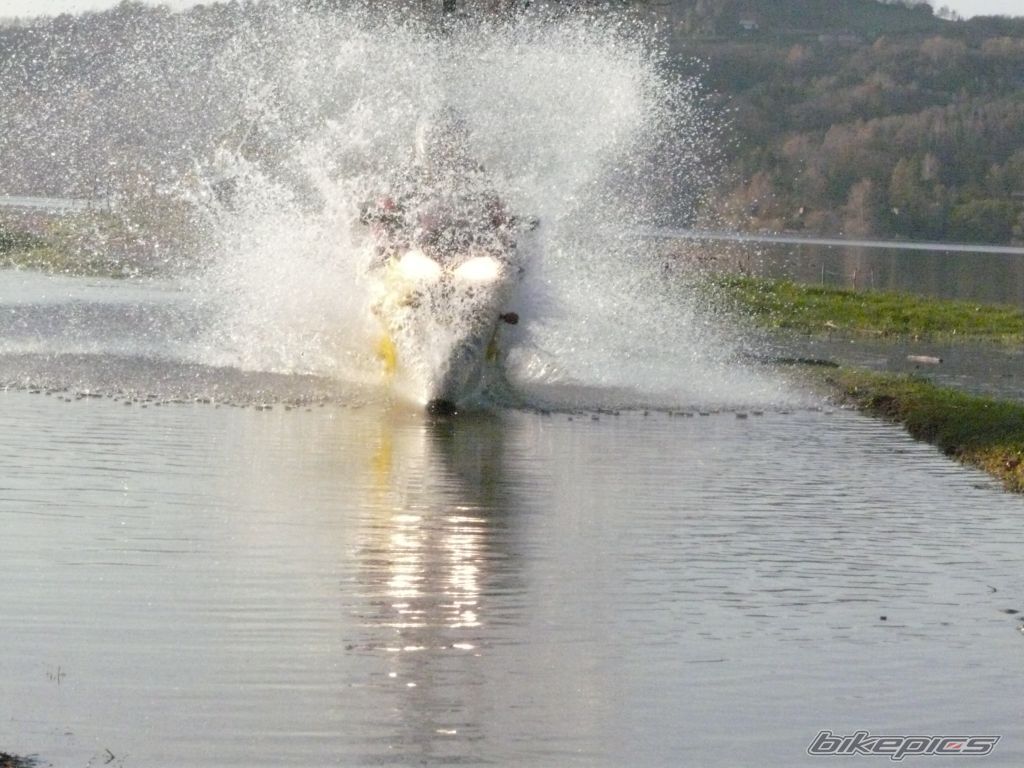 Photo 1582445