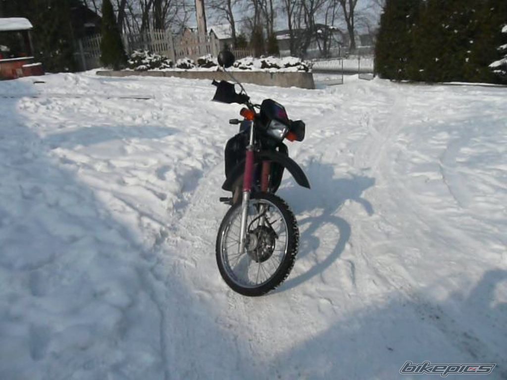 Photo 1582479