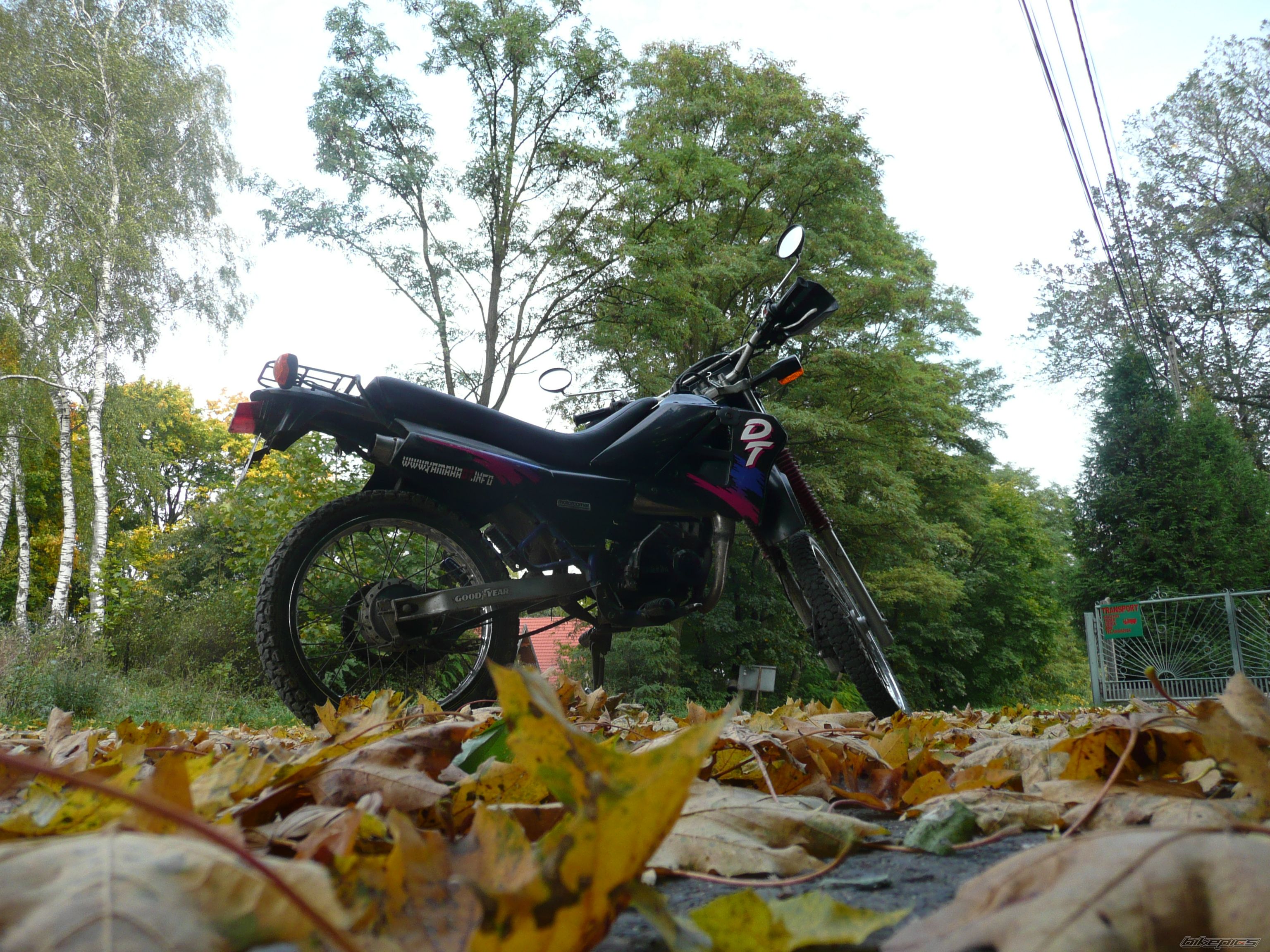 Photo 1582486