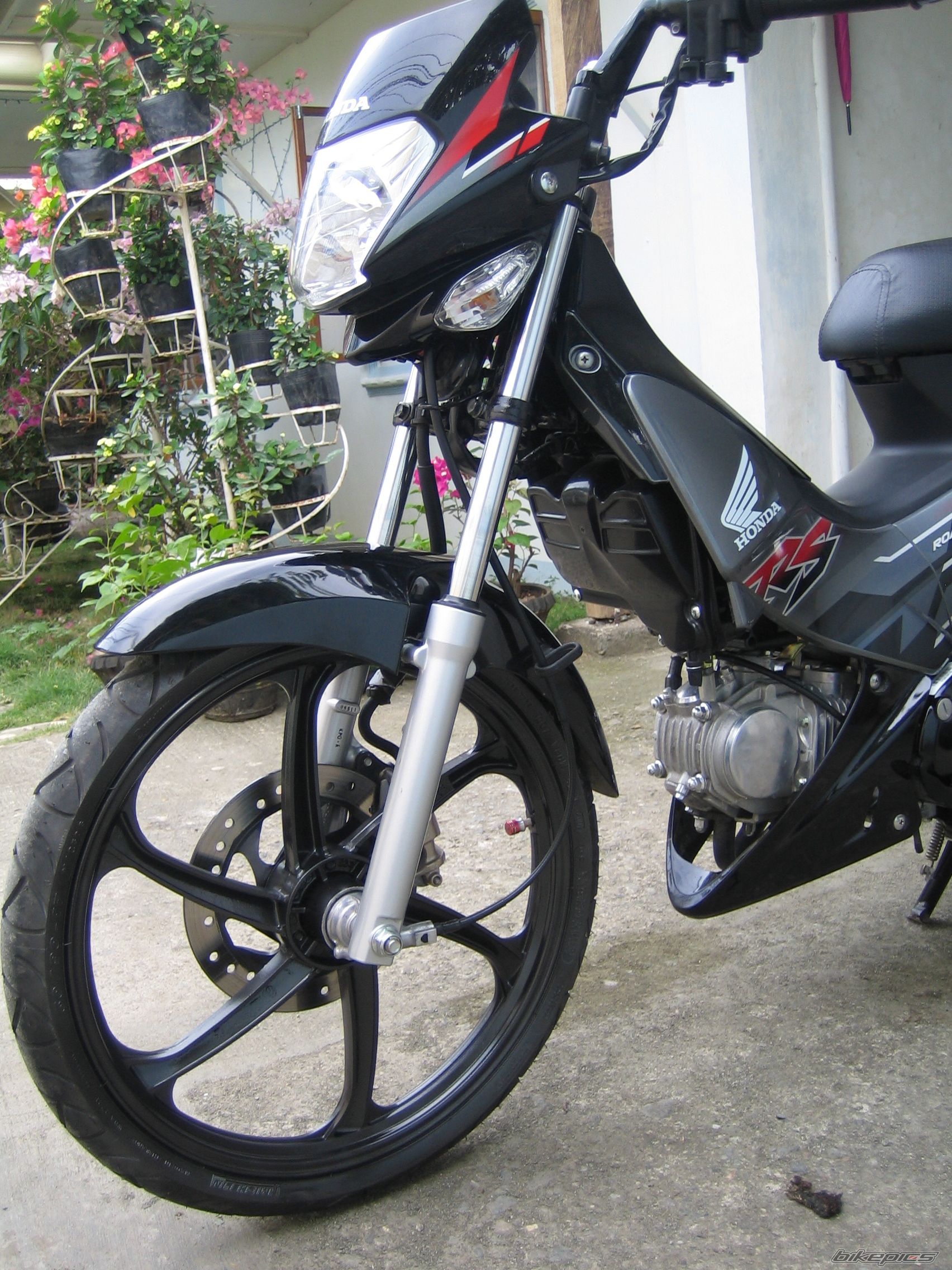 Photo 1582493