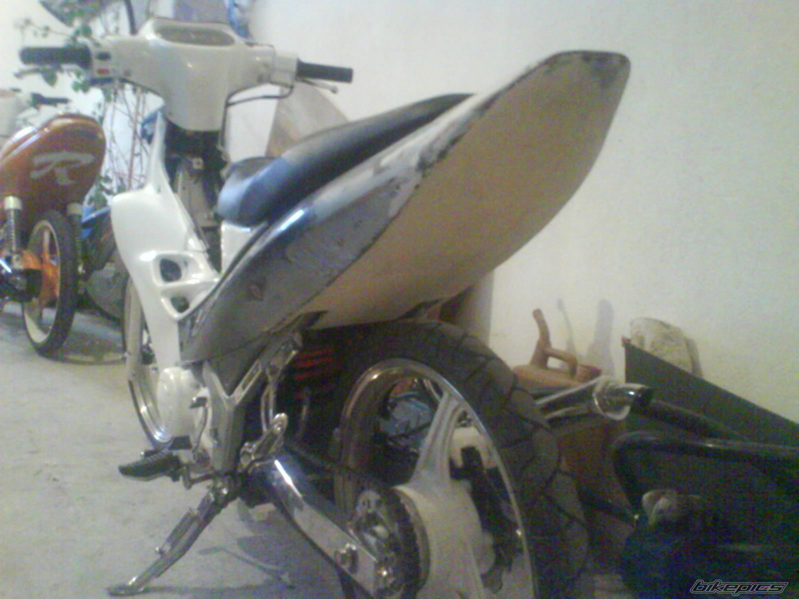 Photo 1582558