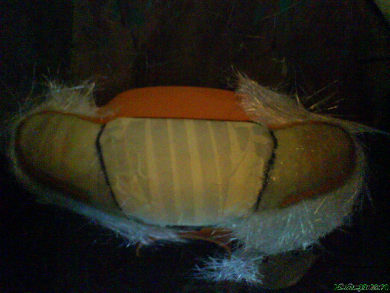 Photo 1582561