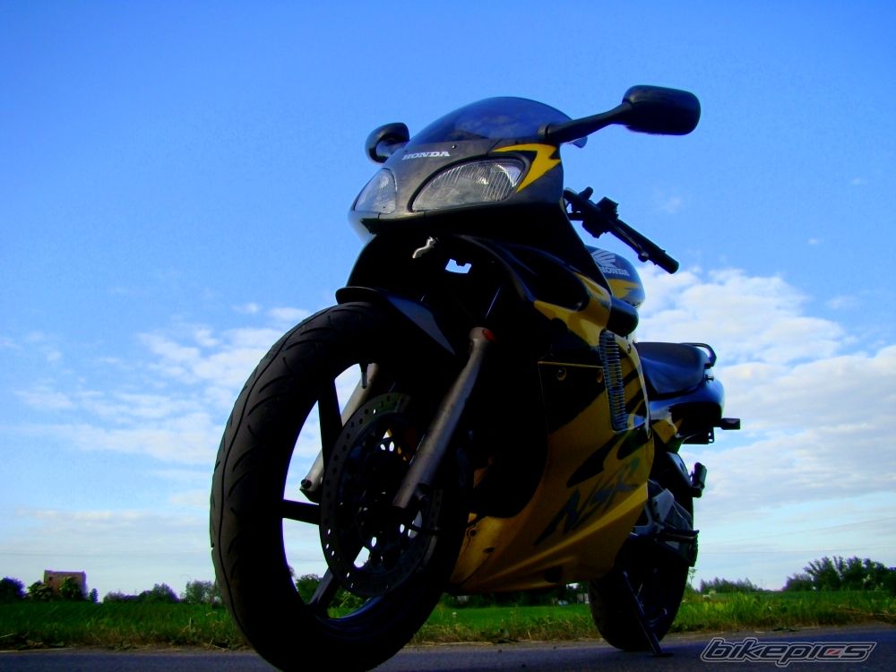 Photo 1582767