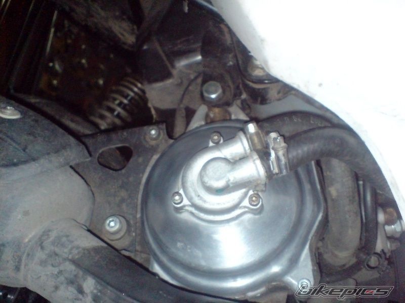 Photo 1582816