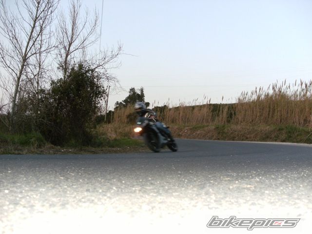 Photo 1582817