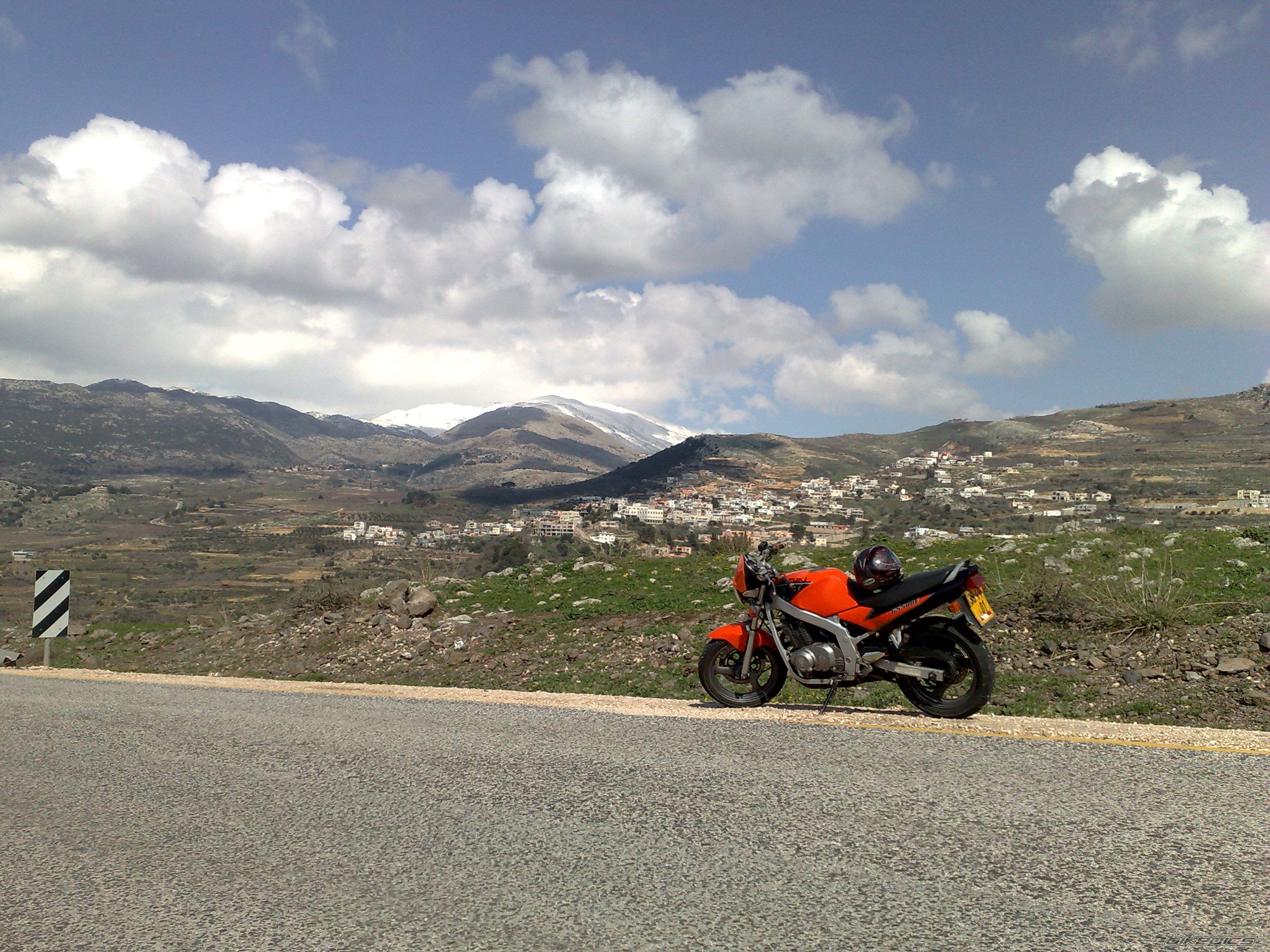 Photo 1582868