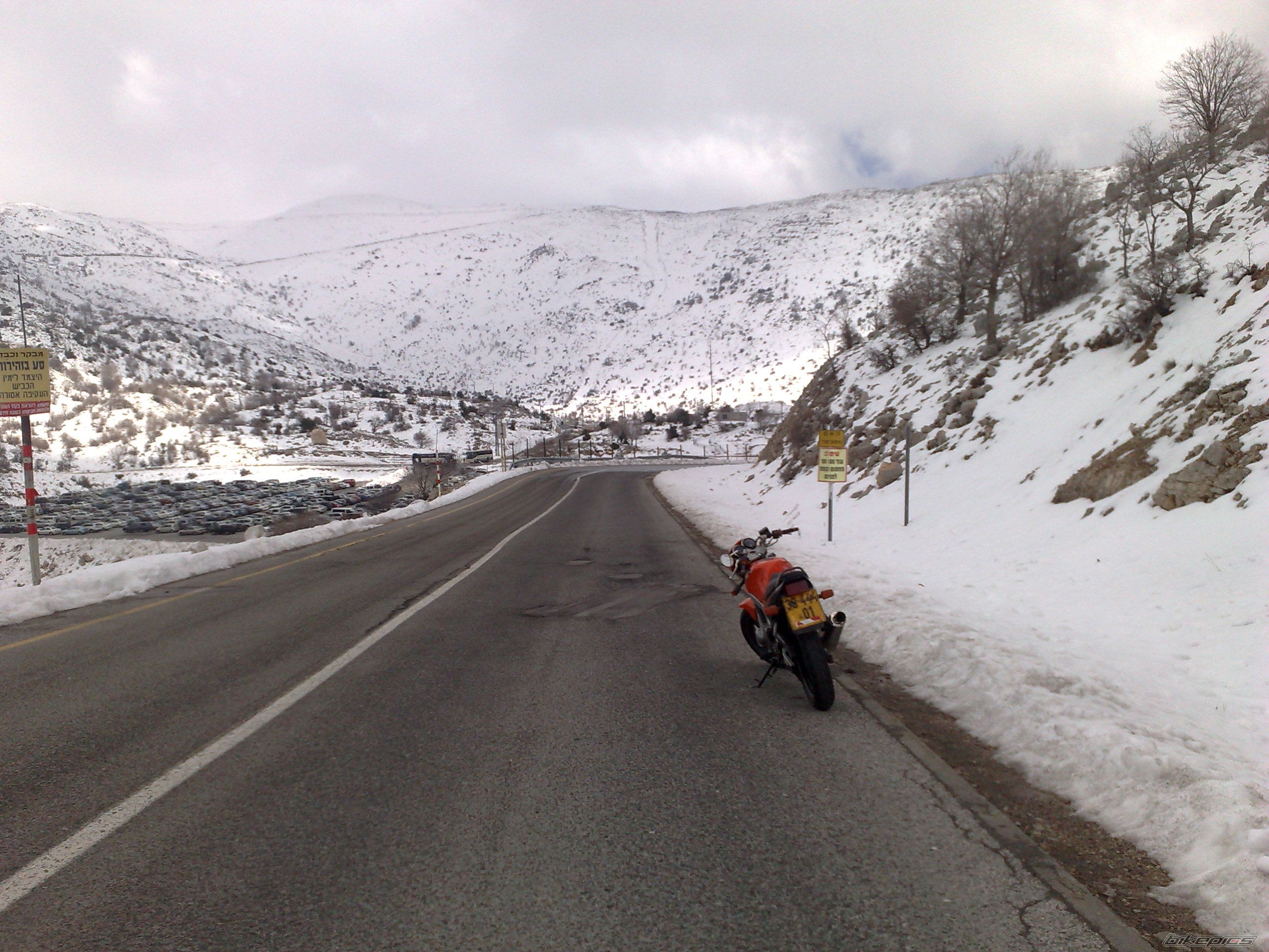 Photo 1582878
