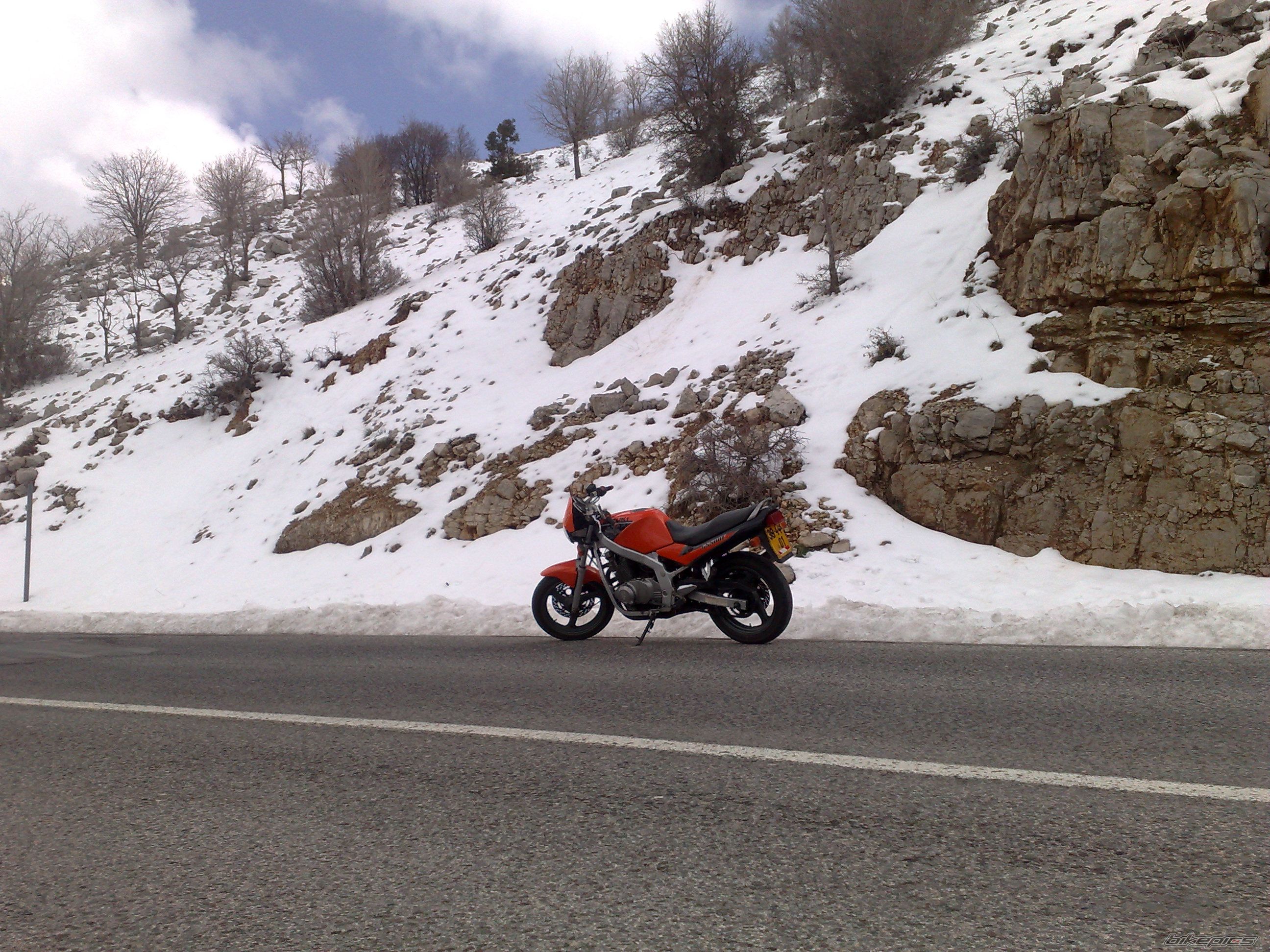 Photo 1582884