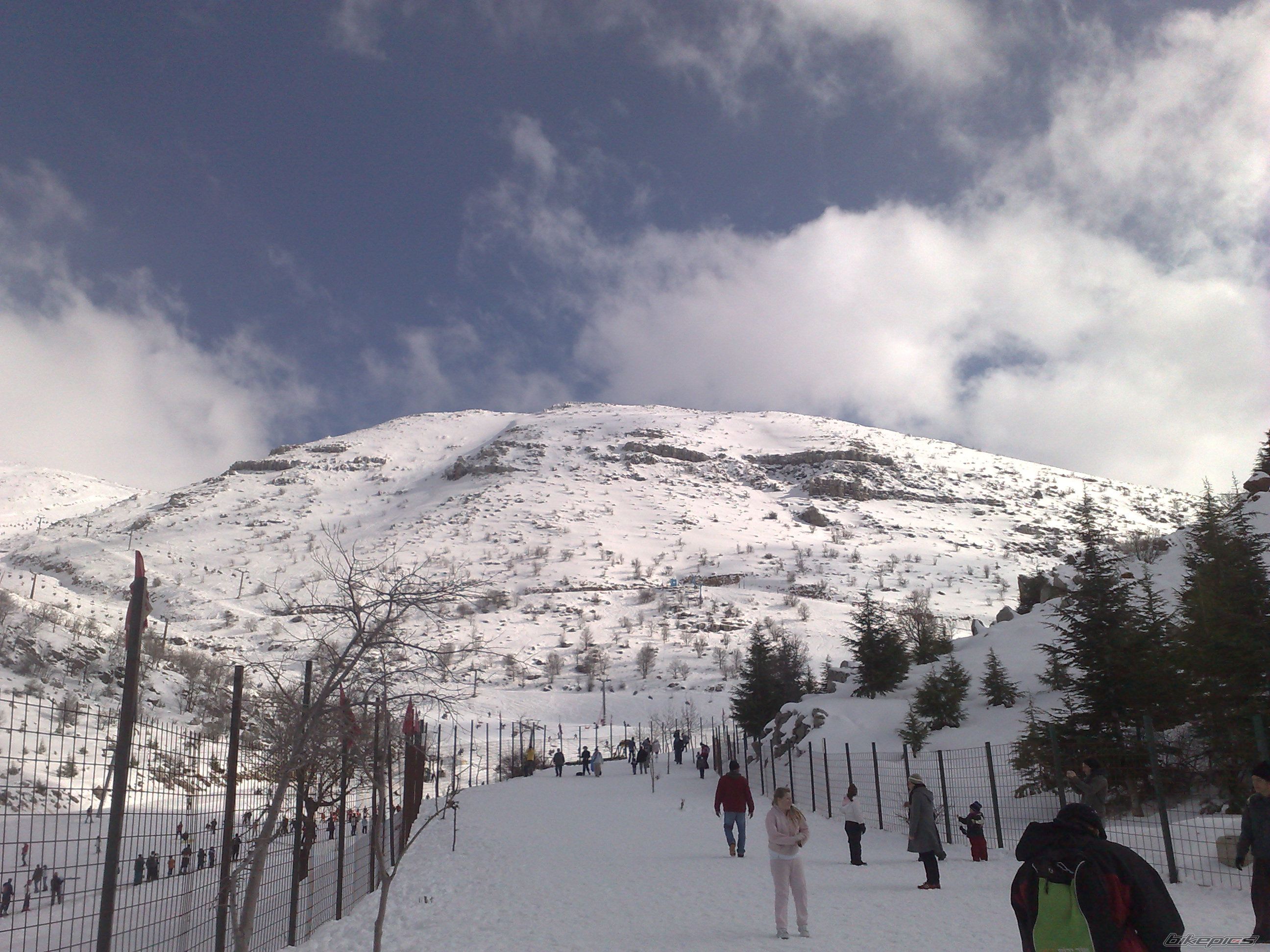 Photo 1582894