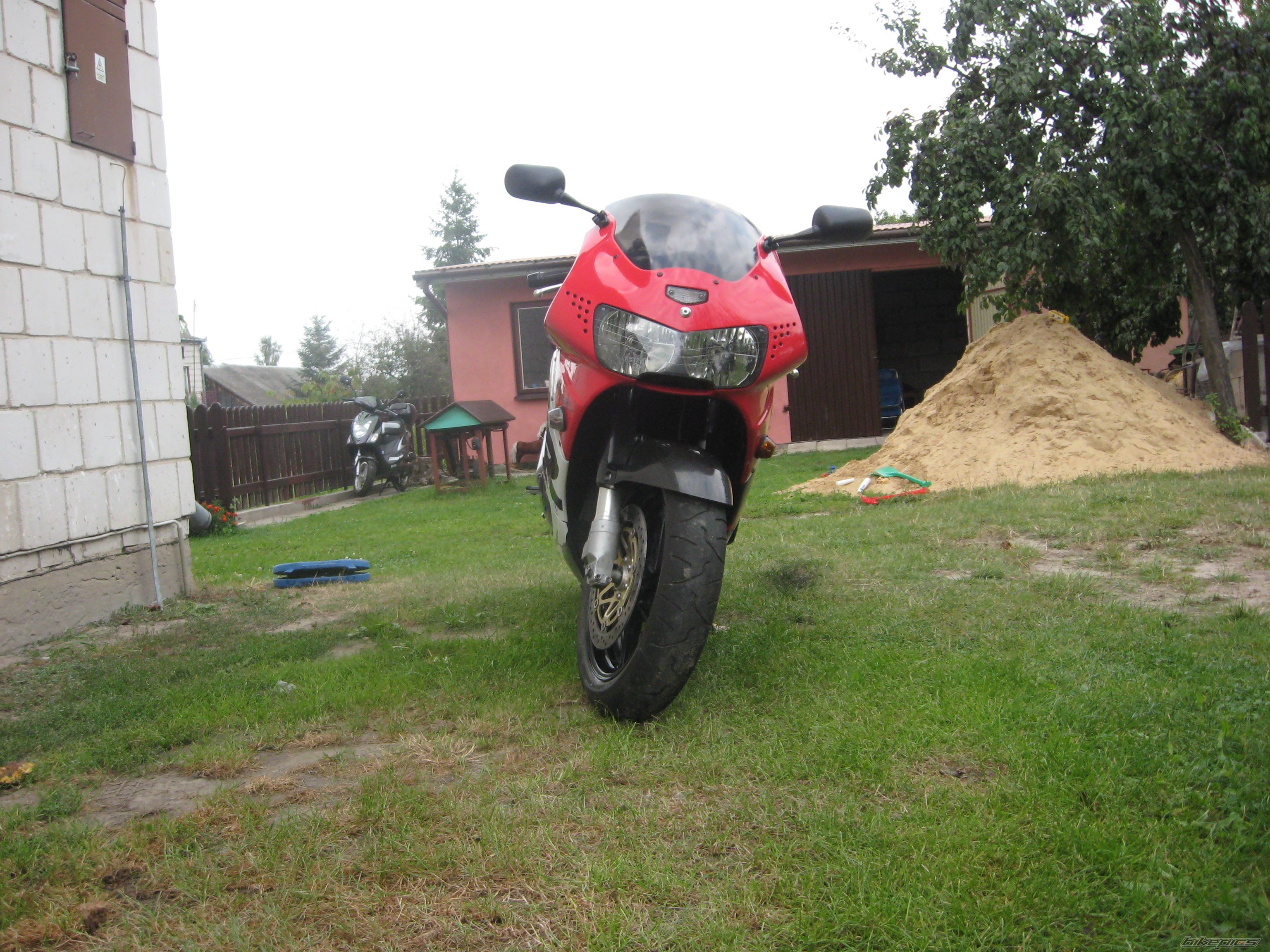 Photo 1583145