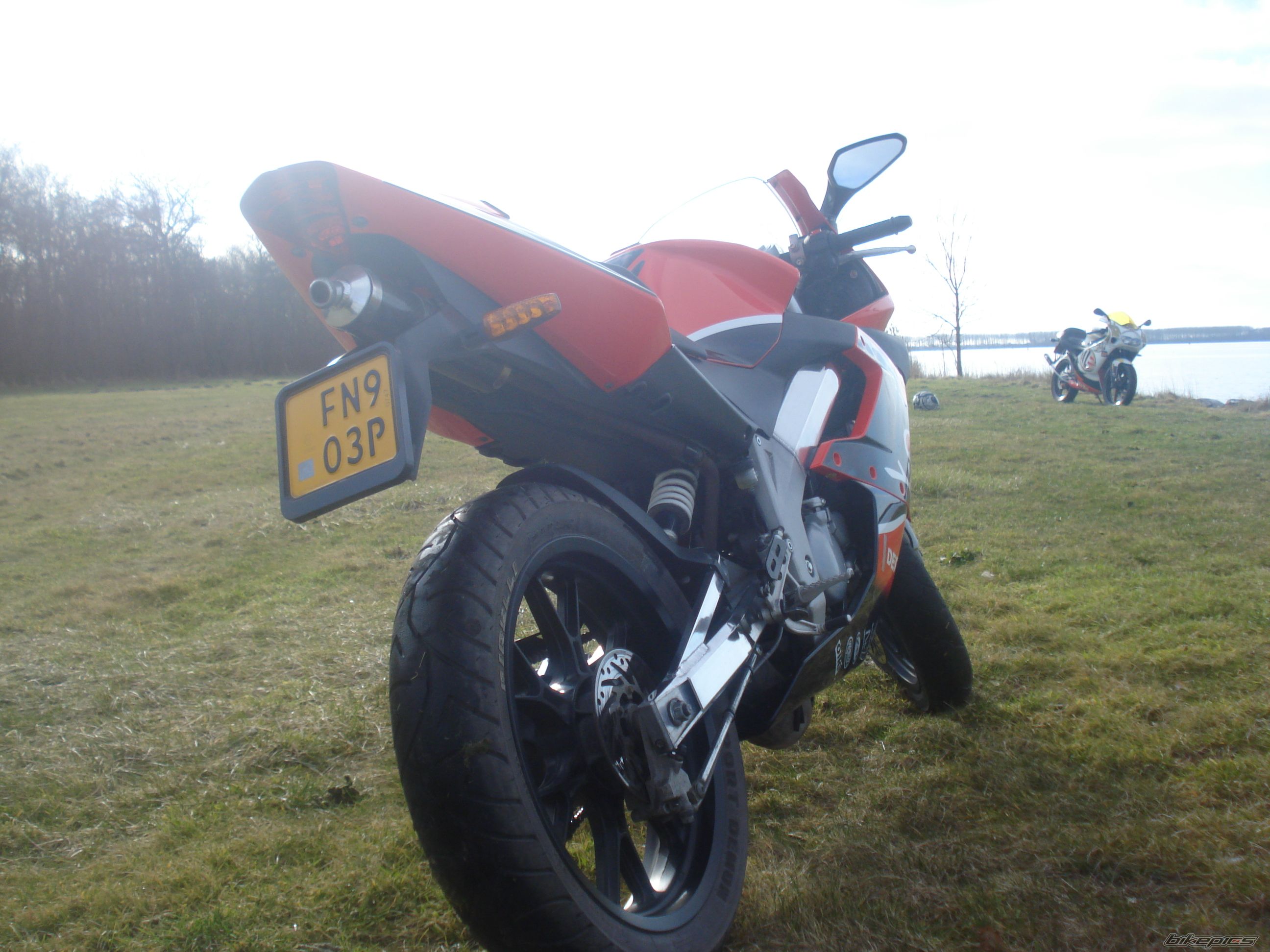 Photo 1583146