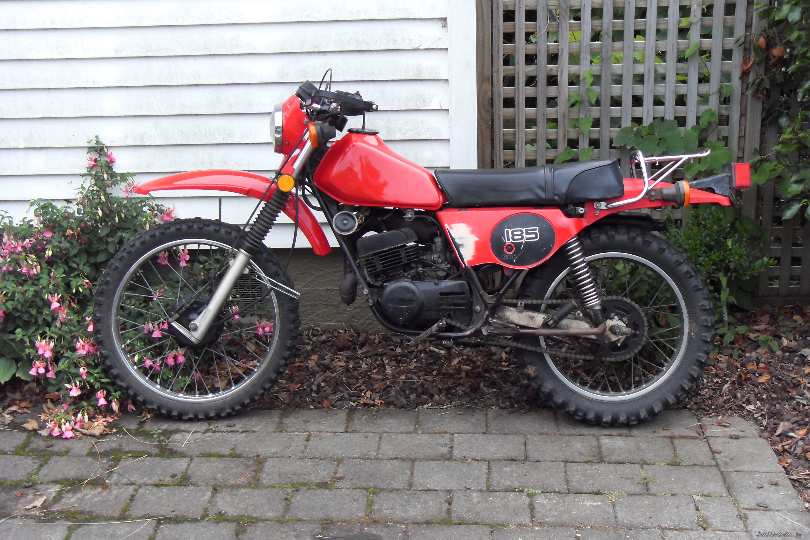 Photo 1583158