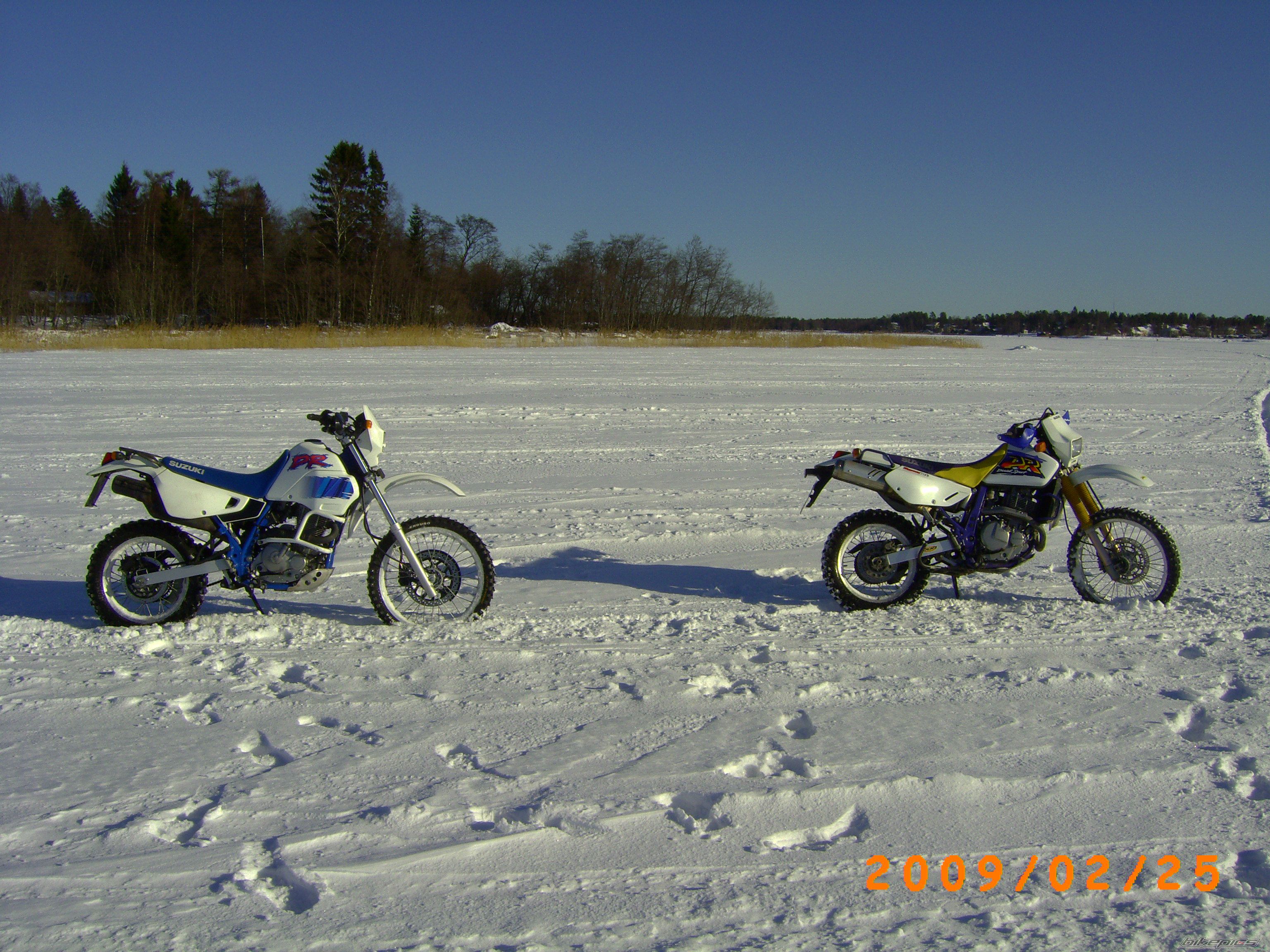 Photo 1583201