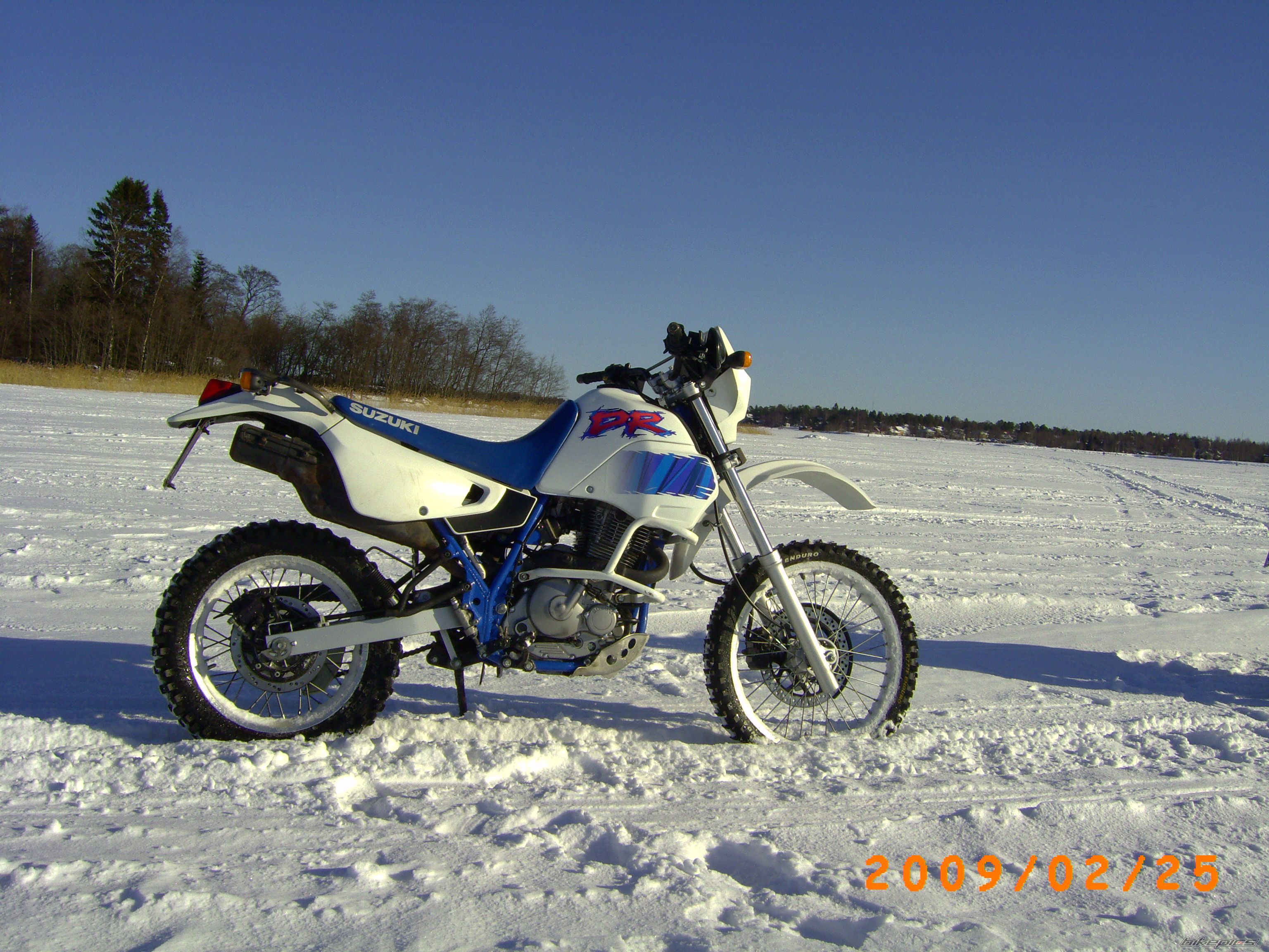 Photo 1583204