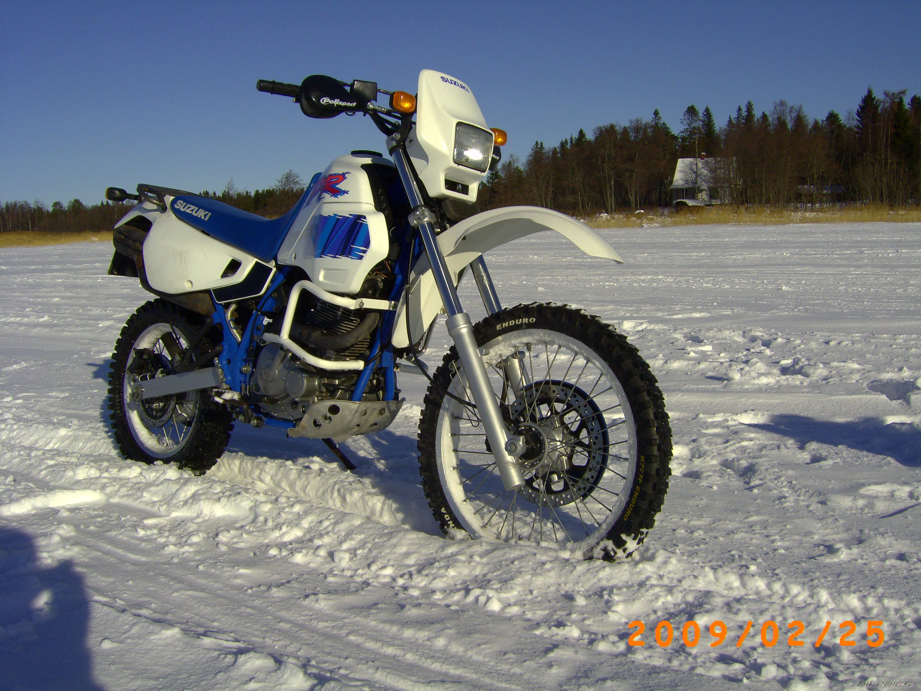 Photo 1583208