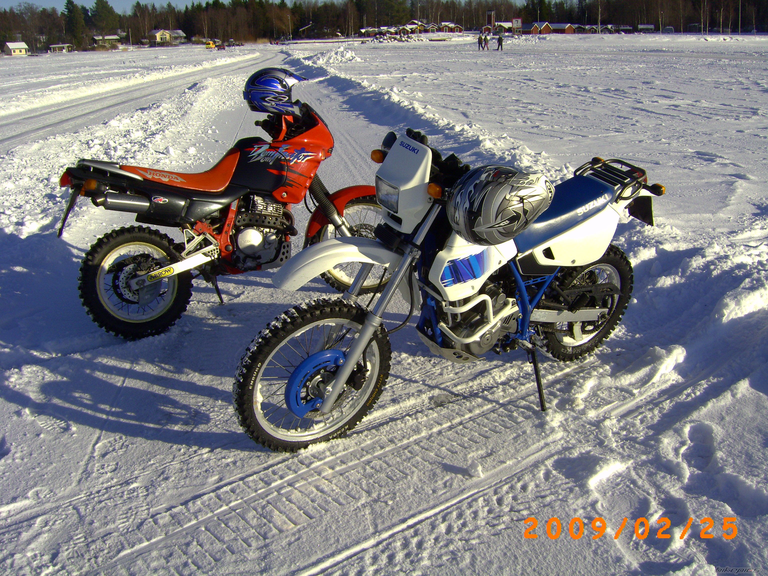 Photo 1583210