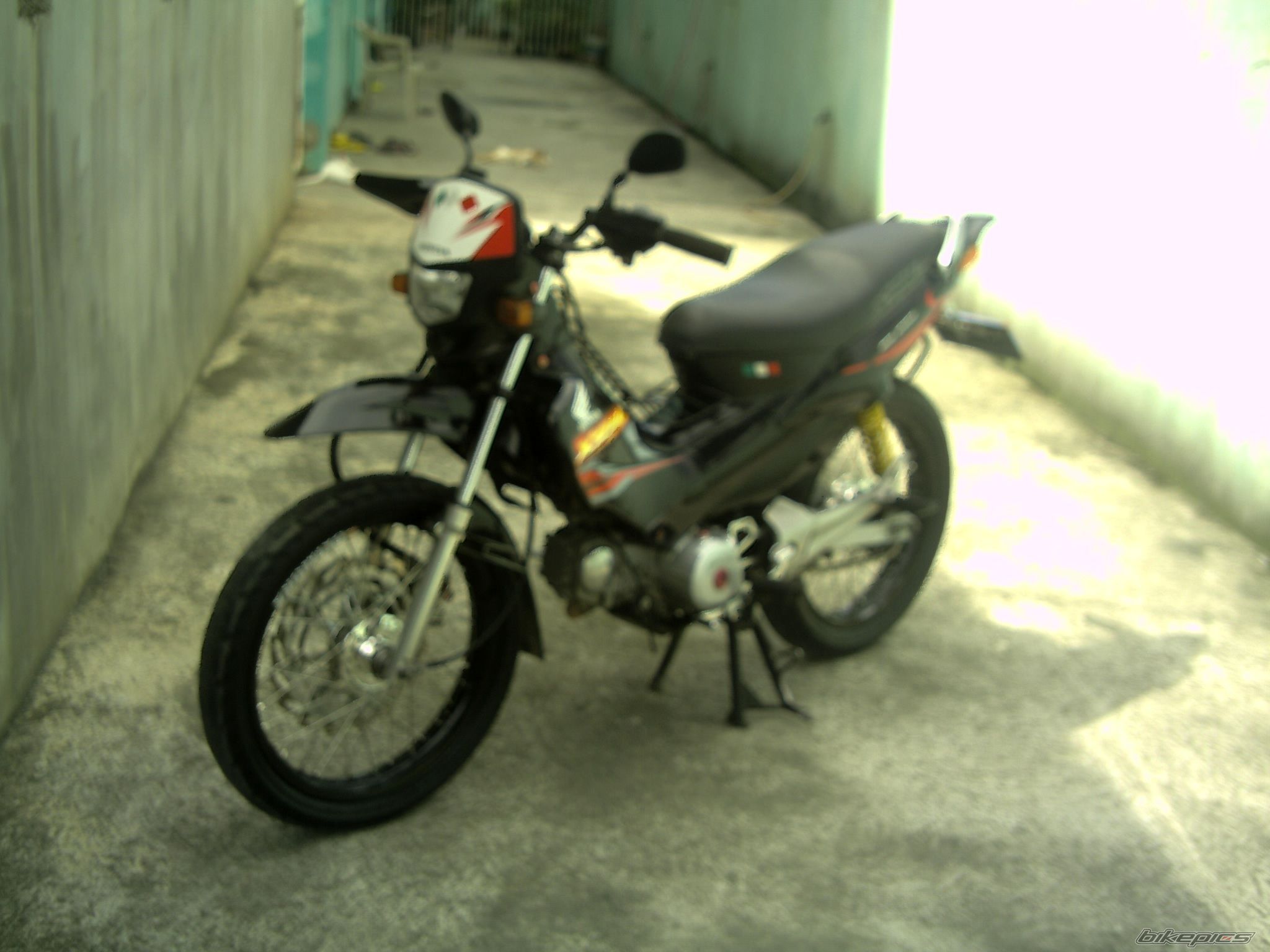Photo 1583245
