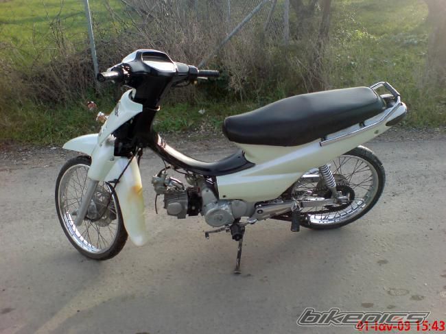 Photo 1583293