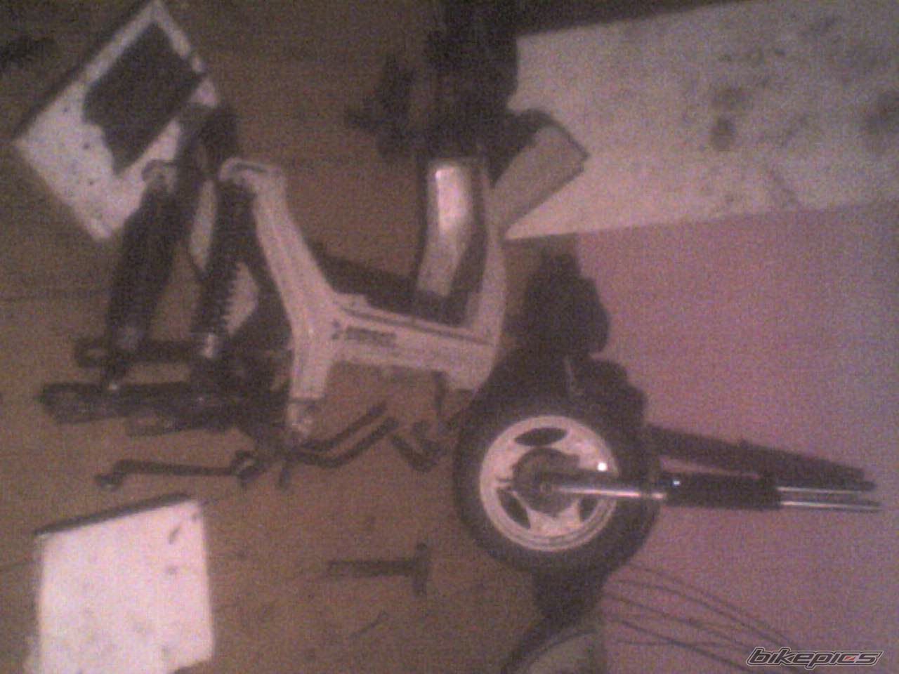 Photo 1583411