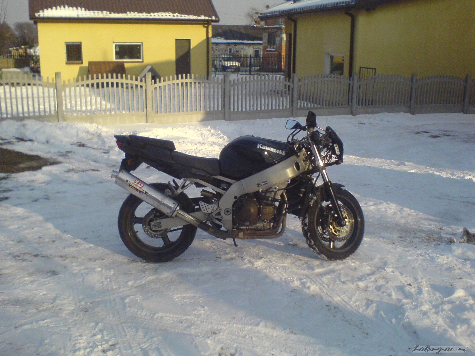 Photo 1583424
