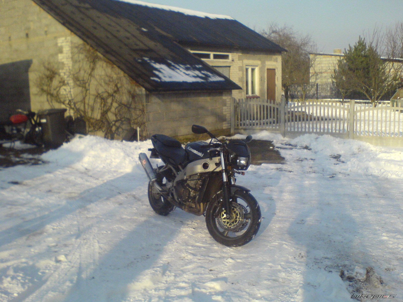 Photo 1583425