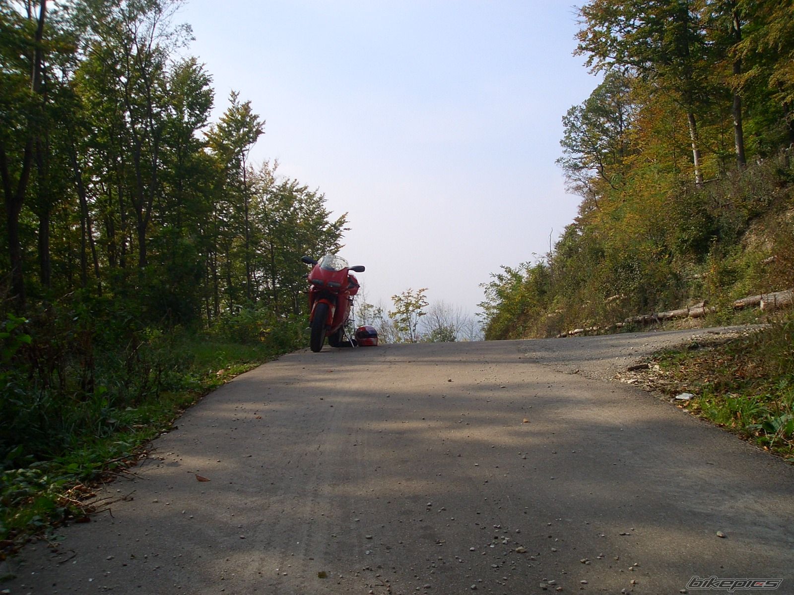 Photo 1583517