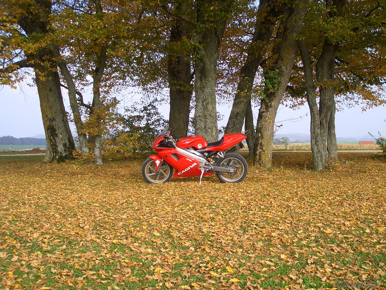 Photo 1583519
