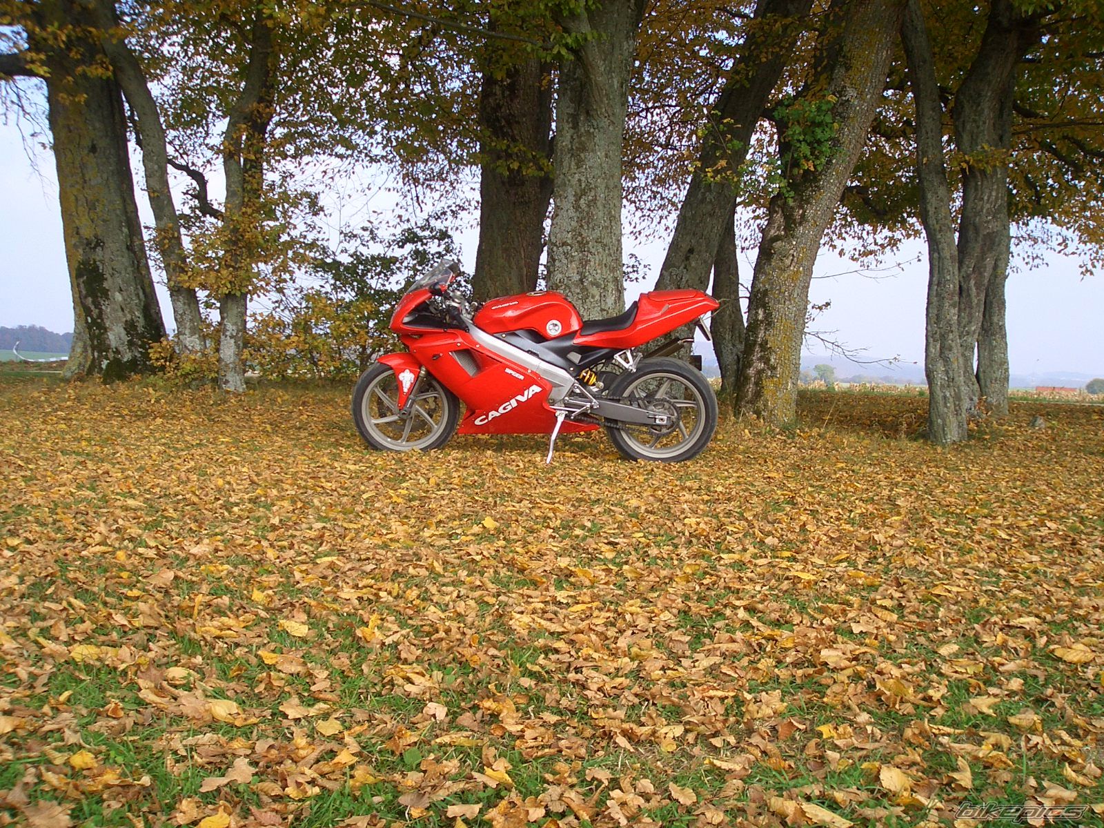 Bike Photo 1583521
